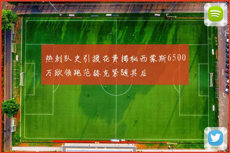 热刺队史引援花费揭秘西蒙斯6500万欧领跑范赫克紧随其后