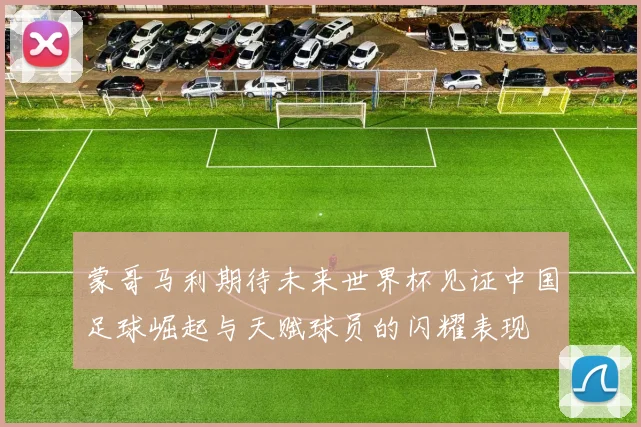 蒙哥马利期待未来世界杯见证中国足球崛起与天赋球员的闪耀表现