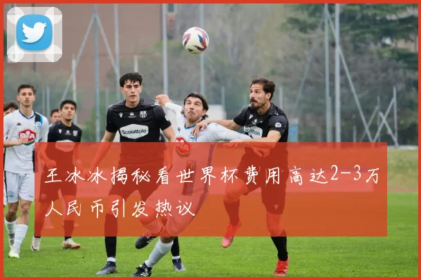 王冰冰揭秘看世界杯费用高达2-3万人民币引发热议